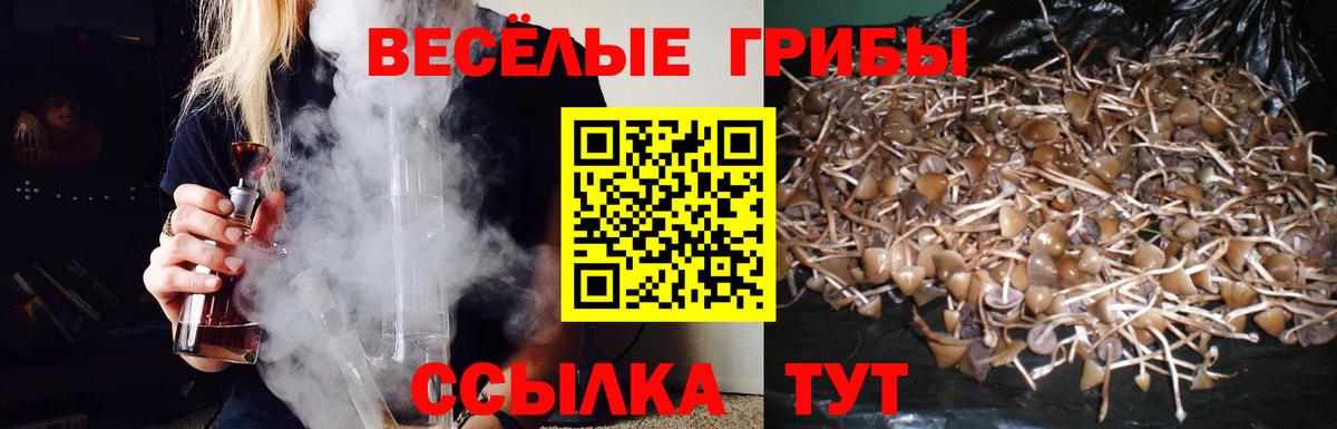 Псилоцибиновые грибы мухоморы  Галлюциногенные грибы мухоморы  купить   Вход с VPN  Богородск 
