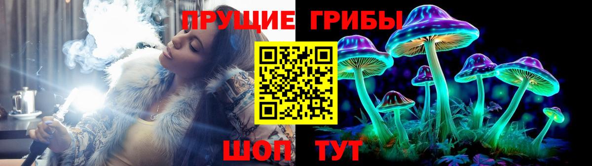Галлюциногенные грибы Psilocybine cubensis Богородск